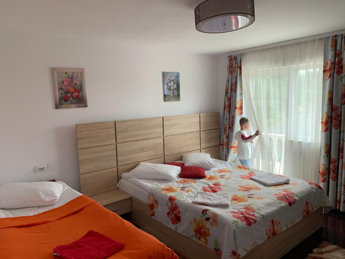 Vila Club Dioda Cicanesti Eksteriør billede